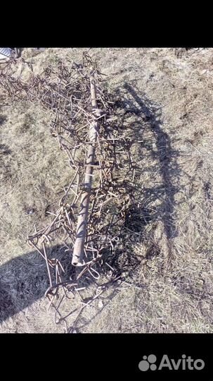 Сетчатая борона