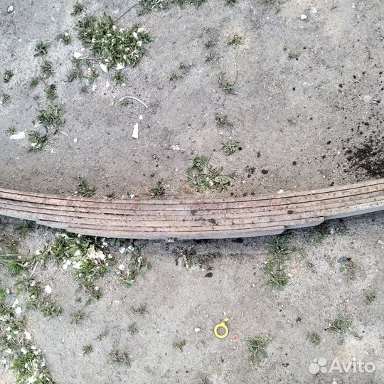 Рисора на газель