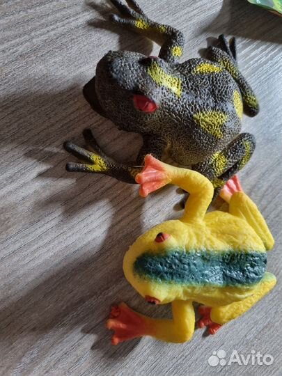 Лягушка из кб