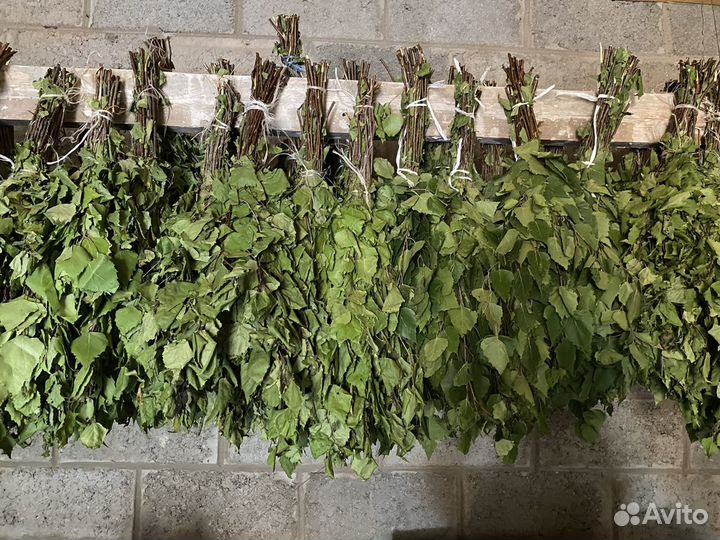 Веники берёзовые