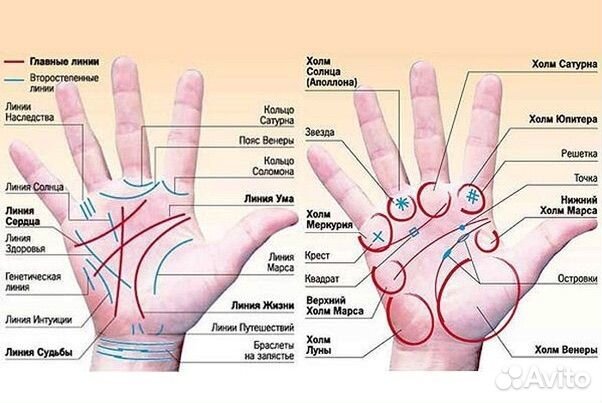Хиромантия Обучение