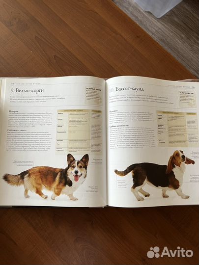 Книги различных жанров