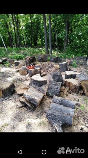 Спил деревьев любои сложности