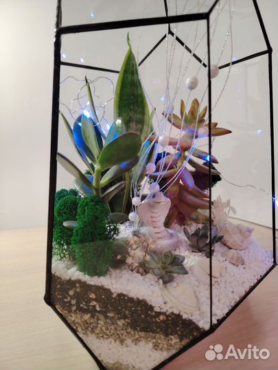 Флорариум 