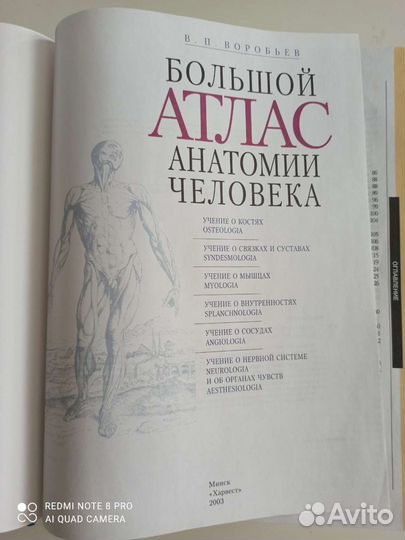 Большой атлас анатомии человека