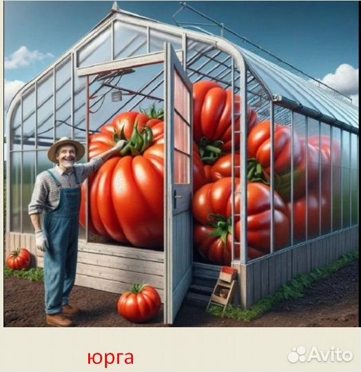 Теплица каркас