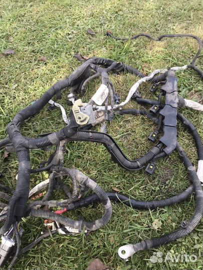 Проводка двигателя Форд Транзит