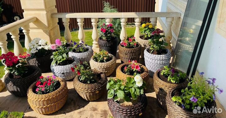 Наикрасивейшие Кашпо для цветов высокое