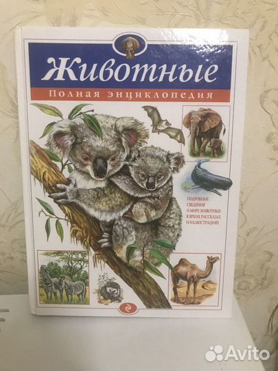 Энциклопедия животные новая