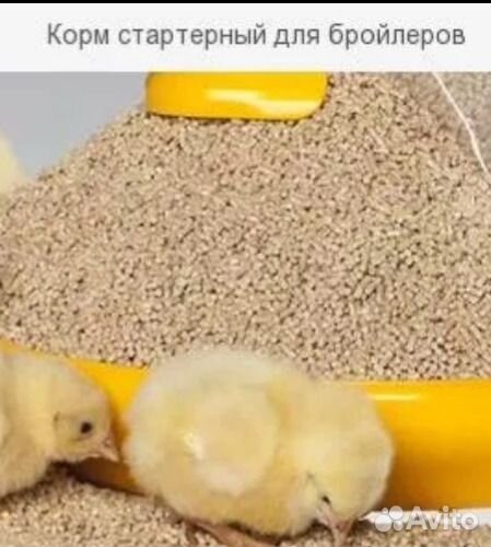 Корм Бройлер Люкс