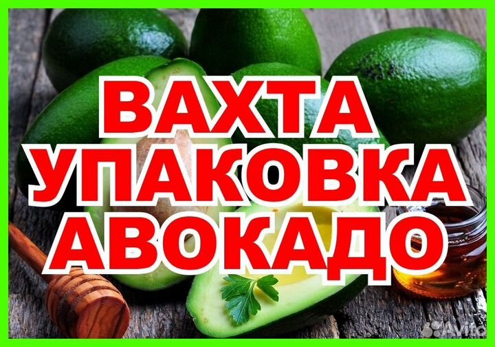 Вахта/упаковщик/без опыта/легкая работа