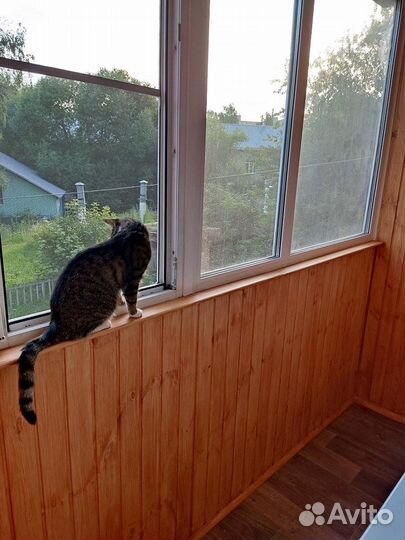 Окна пвх Остекление балконов и лоджий