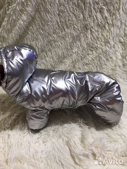 Продам новые вещи на маленькую собачку