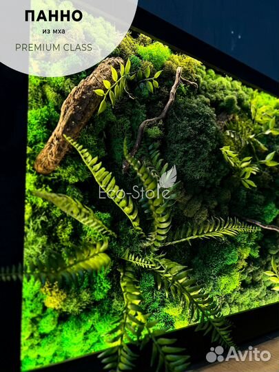 Картина из мха в черной раме на подарок