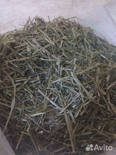 Сено люцерны резаное в мешках по 10 кг
