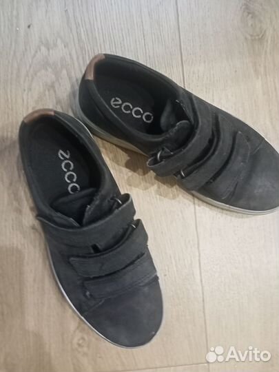 Обувь ecco
