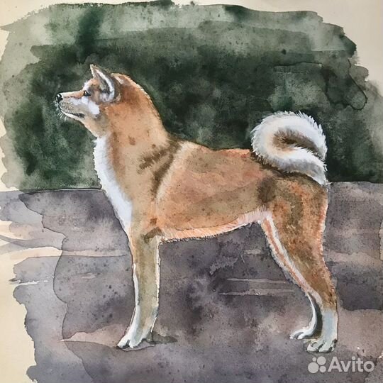 Портрет питомца по фото