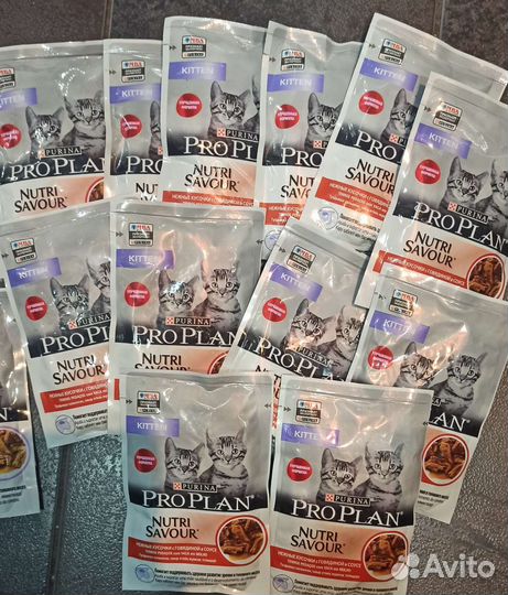 Корм для котят Pro Plan