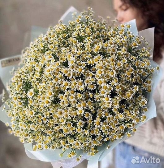 Цветы ромашки. Букеты ромашек. Цветы доставка