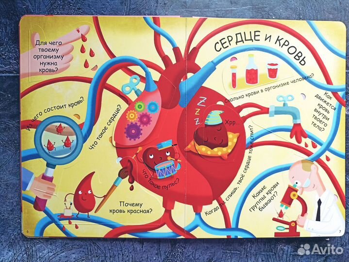 Энциклопедия детская с окошками.Мое тело.Животные