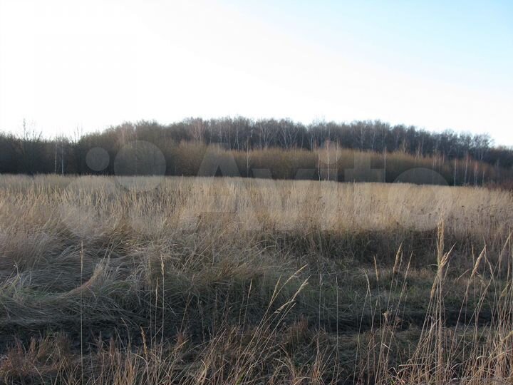 Участок 32 сот. (ИЖС)