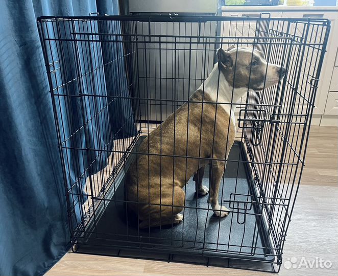Клетка вольер для большой собаки