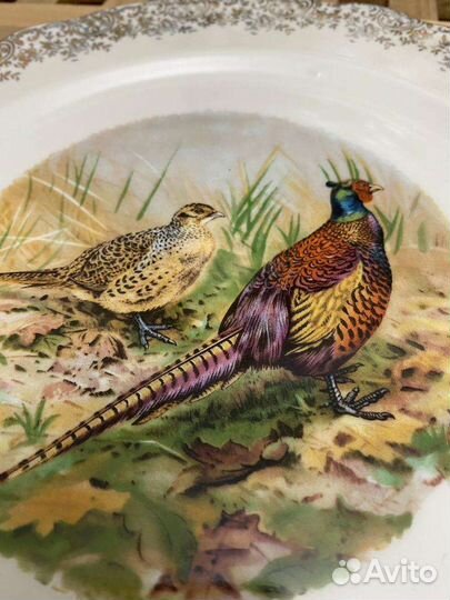 Лимож Франция