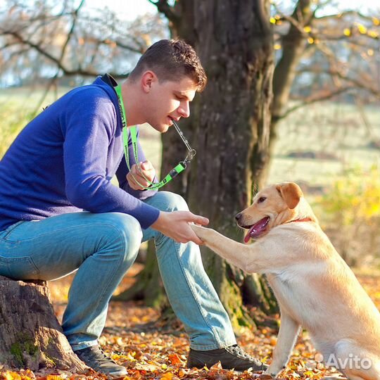 Свисток для собак тренировочный ультразвуковой