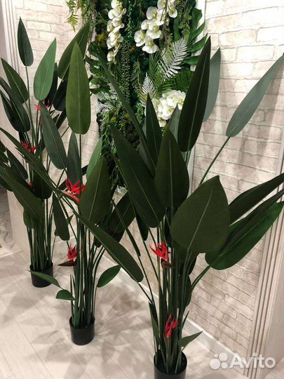 Стрелиция Николая деревья искусственные