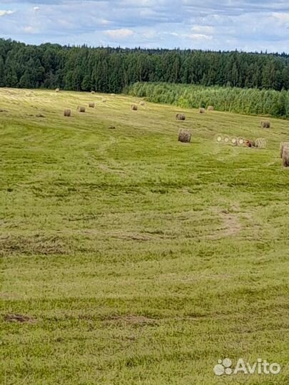 Сено луговое в рулонах