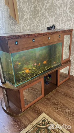 Аквариум с рыбками