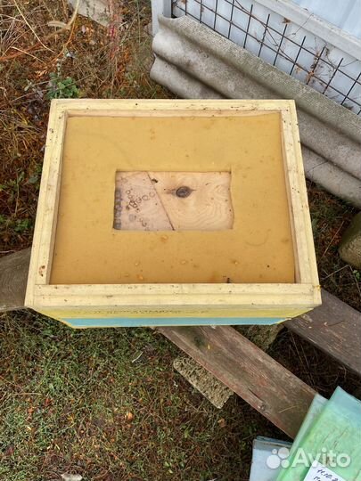 Пчелы улья пасека