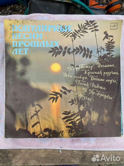 Виниловые пластинки