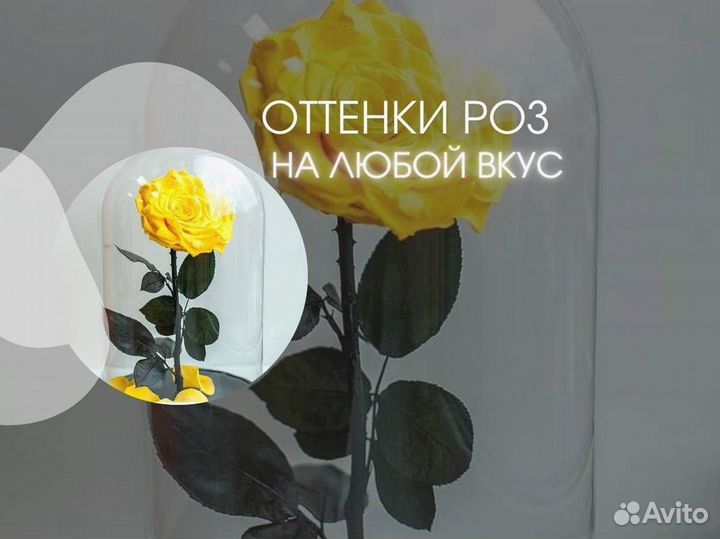 Роза в колбе. Любые размеры