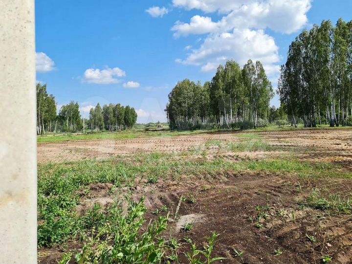 Участок 6 сот. (СНТ, ДНП)