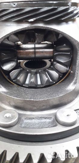 Дифференциал 01m