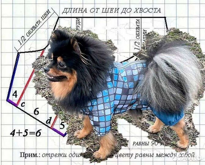 Выкройки одежды для собак,одежда для собак