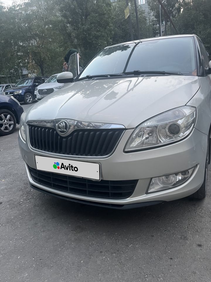 Skoda Fabia: фото владельца