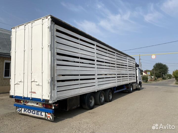 Скотовоз Перевозка животных крс бараны лошади