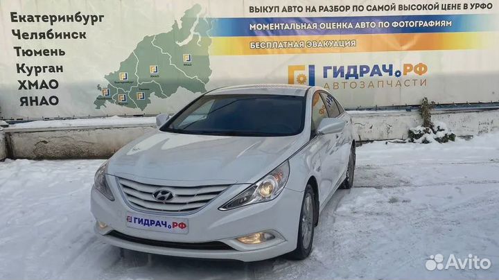 Уплотнитель стекла двери задней левой Hyundai Sonata (YF) 83231-3S000