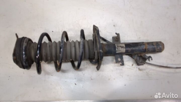 Амортизатор подвески Renault Kadjar, 2019