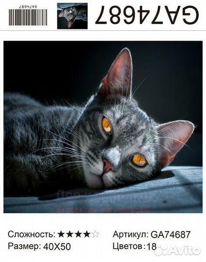 Алмазная мозаика 40x50 Серый кот с огненными глаза