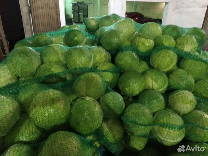 Продам овощи: картофель, капуста, лук, морковь