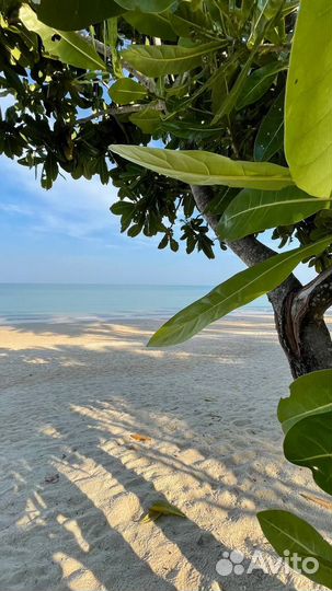 Тур в Таиланд