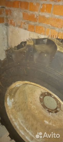 Резина мтз 82 передняя