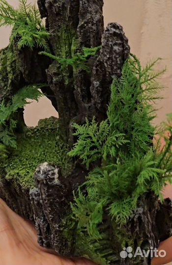 Озеленение террариумов, аквариумов и т.п