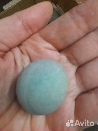 Галька крупная (Чёрное море)