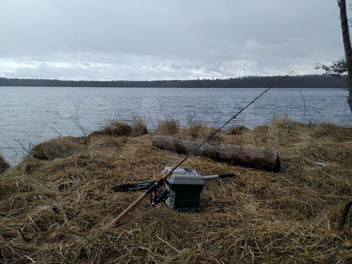 Дом 54 м² на участке 15 сот.