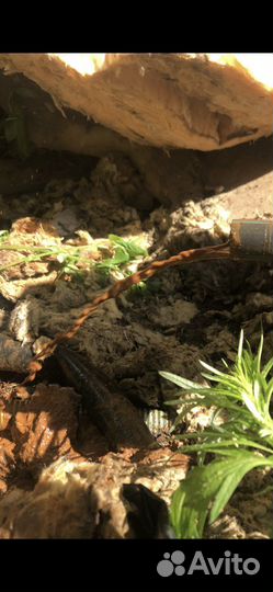 Ремонт и чистка скважин