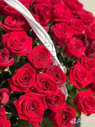 Корзинка из 151,101,61 розы